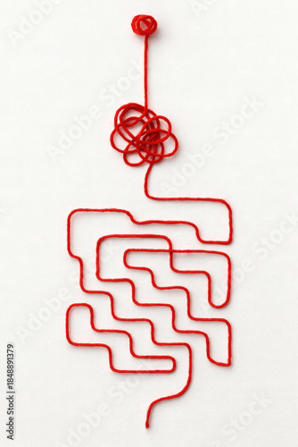 Red Yarn in a Labyrinthine Pattern on White Background