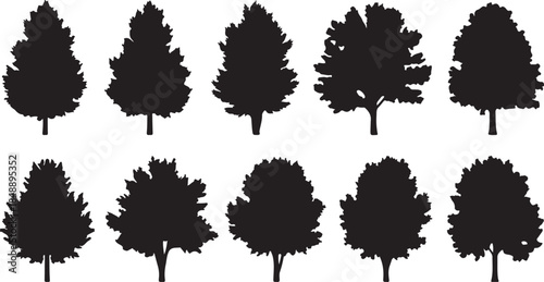 Collection of ten different tree silhouettes on white background