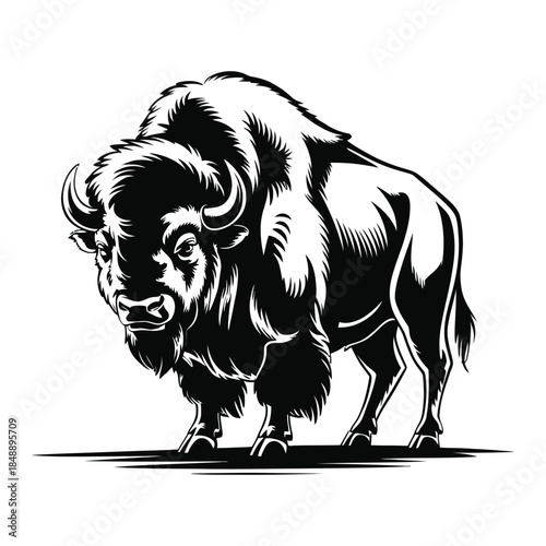 buffalo