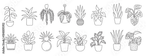 collection of twelve potted houseplant line art 