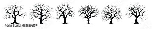 dead tree vector silhouettes scary tree silhouette