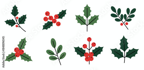  festive holly sprigs and berries for holiday decorations