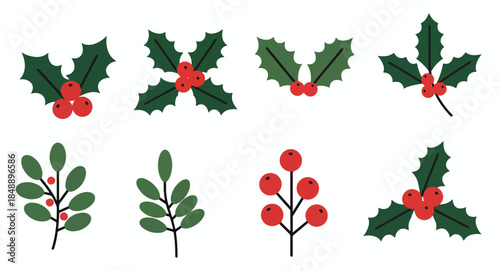 festive holly sprigs and berry branches for holiday
