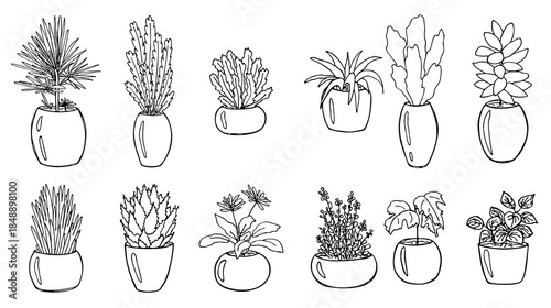 Сute hand drawn houseplant in a pot clipart. Plant illustration. Cozy home doodle set