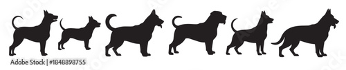 collection of diverse dog breed silhouettes in black and white 