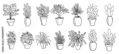 Сute hand drawn houseplant in a pot clipart. Plant illustration. Cozy home doodle set