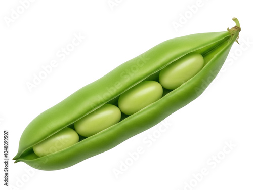 Isolated pod full of fresh green beans, ready to be cooked, a single pod, food photography