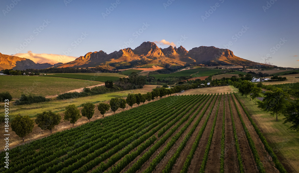 Obraz premium The golden mountain with a wine land on Stellenbosch 