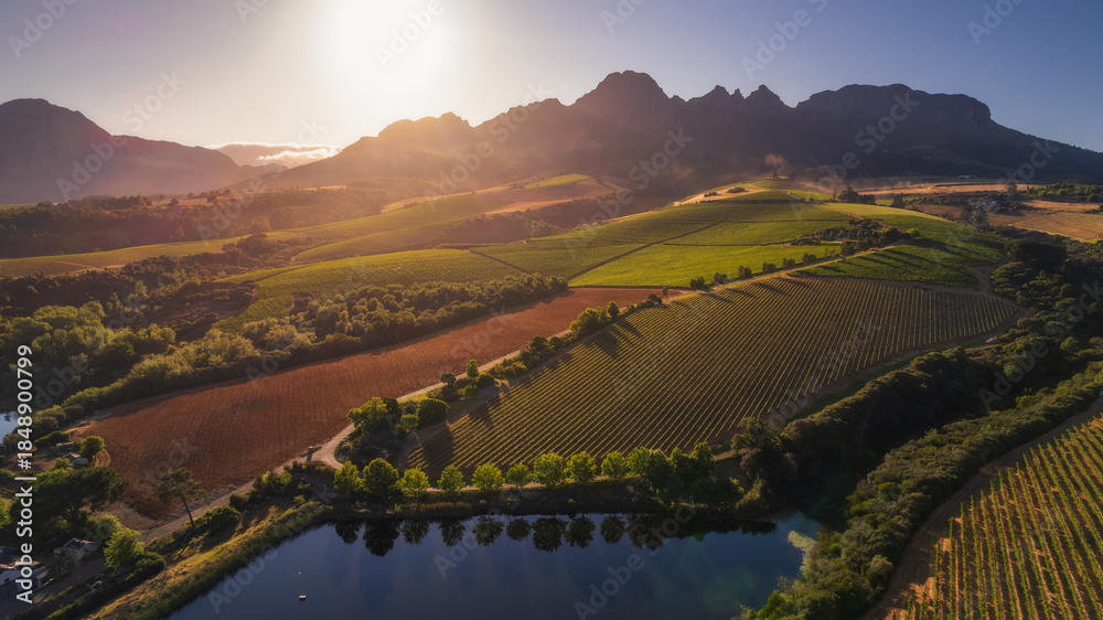 Fototapeta premium The sunrise with a river with wine land on Stellenbosch