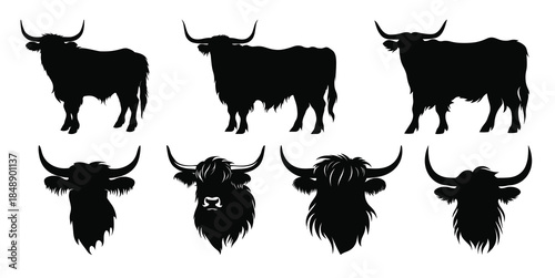  highland cattle silhouettes set highland cow head 