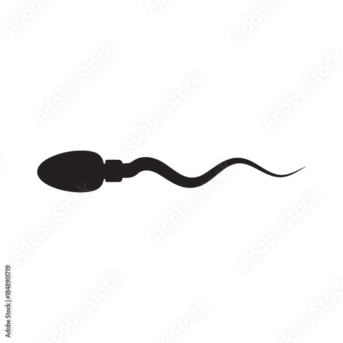 Sperm cell silhouette vector flat illustration on white background