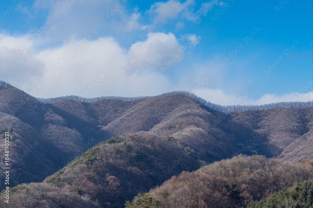 Fototapeta premium 산