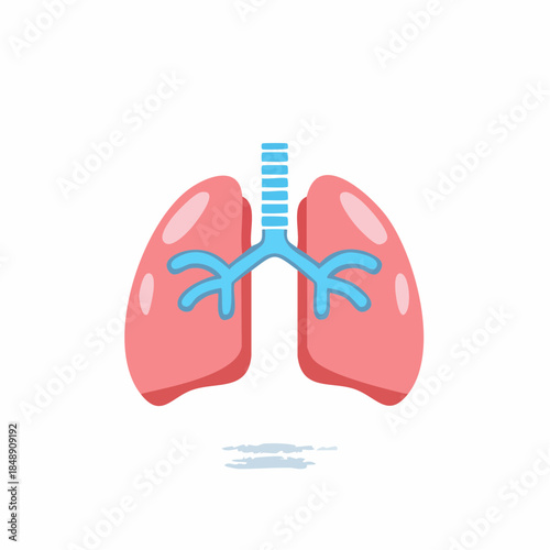 Human Lung Illustration, Medical Anatomy Art, Pulmonary System Vector Design for Healthcare and Educational Resources