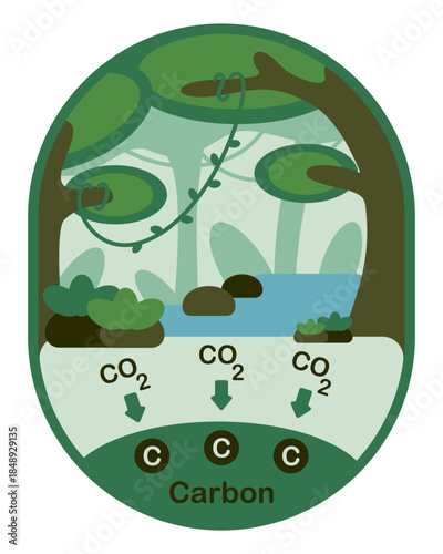 Global forest carbon storage vector illustration, Rainforest absorb carbon dioxide as an abstract landscape style.