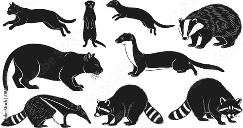 Wild animal silhouettes set, vector illustration of raccoon, badger, weasel, meerkat and wild cat, black forest creatures isolated on white background.