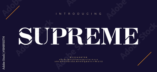 Modern luxury alphabet logo letters font. Typography Elegant classic serif fonts and number decorative logos wedding vintage retro. vector illustration