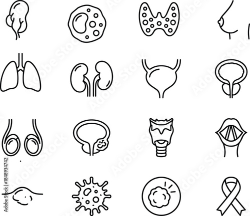 Human anatomy and medical organs line icons set featuring internal body systems health biology education vector illustration collection