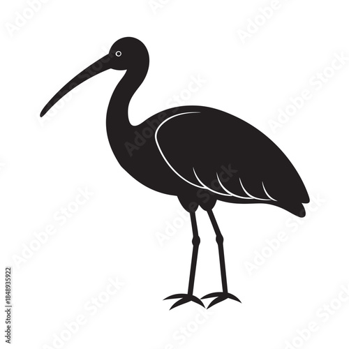 Flat Style Ibis Wading Bird Silhouette Illustration