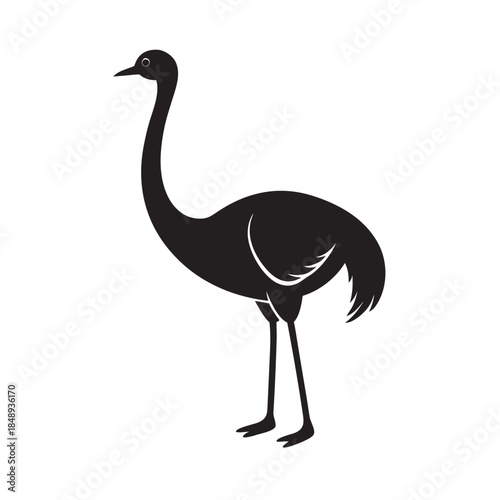 Flat Style Ostrich Standing Bird Silhouette Artwork