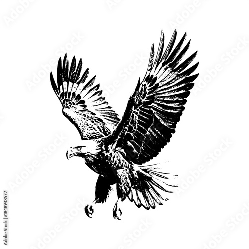 Majestic eagle in flight illustration