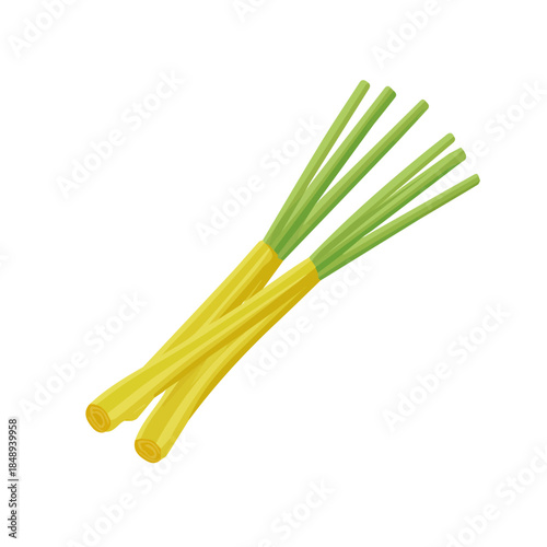 2D_icon_lemongrass_stalk_isolated_on_a_whitثو Vector, eps, flat design, animation design, simple flat 2D icon, minimalist design, clipart, illustration.