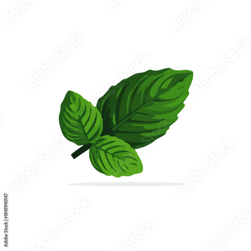 Simple_flat_2D_icon_peppermint_leaf_isolated_Vector, eps, flat design, animation design, simple flat 2D icon, minimalist design, clipart, illustration.