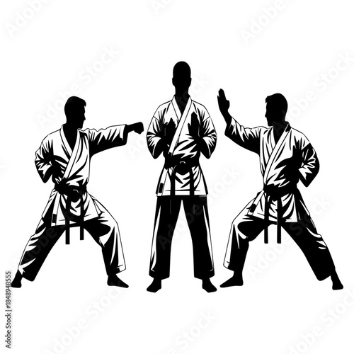 Dynamic display of martial arts practitioners showcasing disciplined karate stances and powerful combat techniques in rigorous training