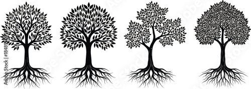 Tree silhouette collection with detailed roots and leafy canopies flat vector illustration isolated on white background for nature, ecology, and eco design