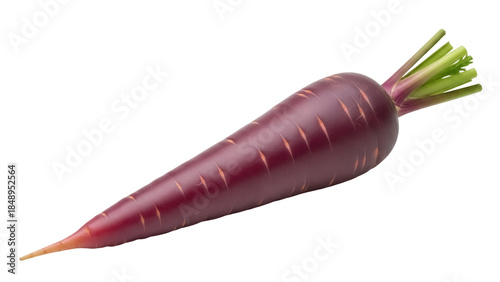 Isolated purple carrot with green stems on a neutral surface, ready to be eaten fresh