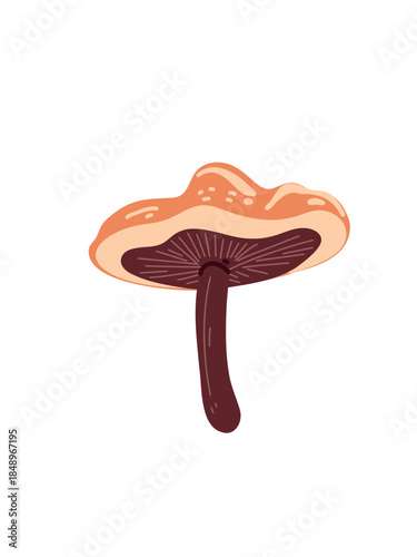 natural forest fungus isolated for design