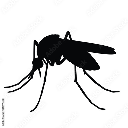 Single Mosquito Silhouette in Side View