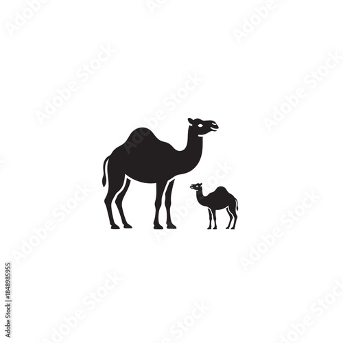 Camel and Calf Silhouette Isolated on White Background