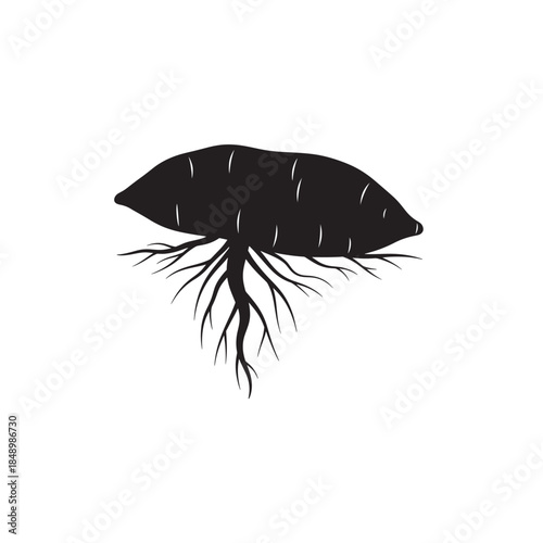 Sweet Potato Root Vegetable Silhouette Isolated on White