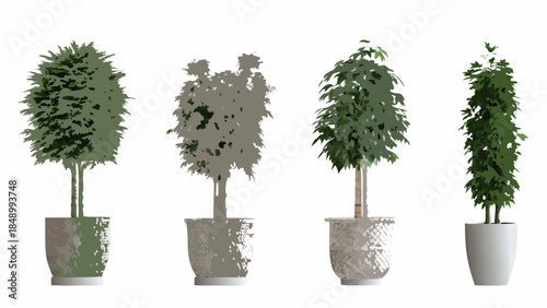 Four potted plants with varying foliage density and pot styles displayed