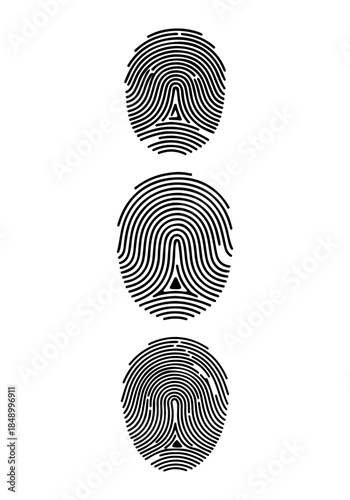 Fingerprint vector, various fingerprint silhouette, human fingerprint clipart, fingerprint art