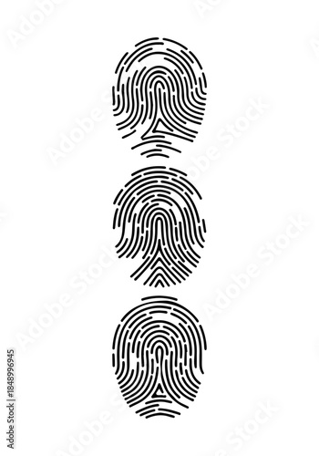 Fingerprint vector, various fingerprint silhouette, human fingerprint clipart, fingerprint art