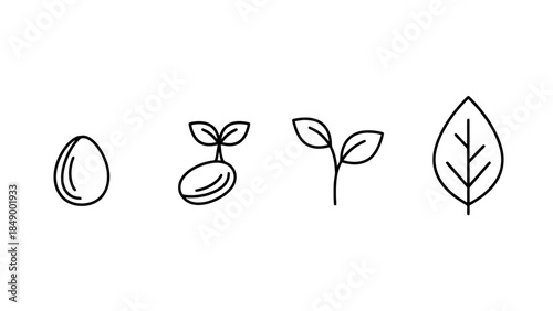 Minimalist Natural Elements Illustration with Seeds Sprout and Leaf for Eco Friendly Design