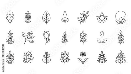 Elegant Botanical Line Art Collection for Nature and Wellness Design