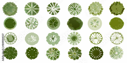 An assortment of green trees viewed from directly above showcasing varied canopies