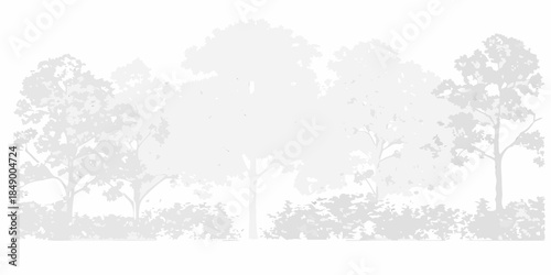 A silhouetted forest landscape with dense trees and foliage in grayscale