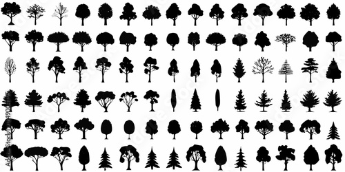 Collection of diverse tree silhouettes against a plain white background