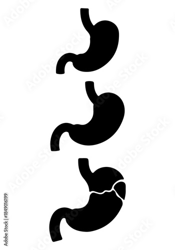 Kidney vector, vector of kidney art, kidney silhouette, creative kidney human organs design
