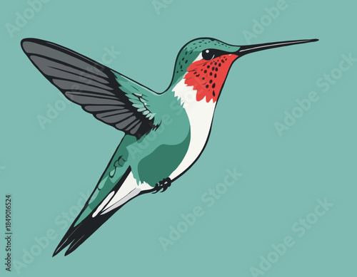 Hummingbird in illustration in brush stroke painting,