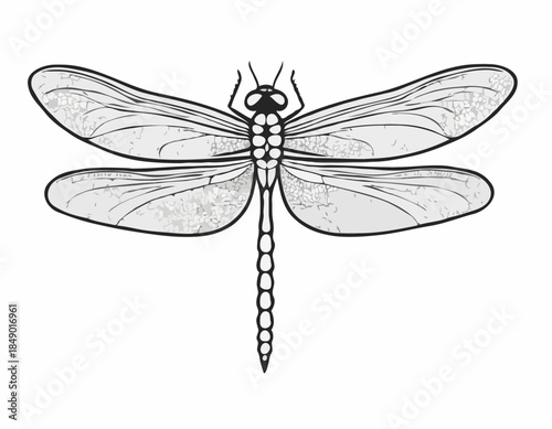 Elegant dragonfly illustration in black and white woodcut style