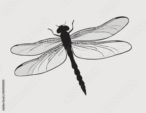 Elegant dragonfly illustration in black and white woodcut style