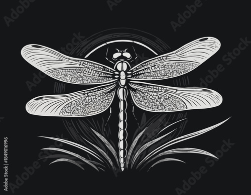 Elegant dragonfly illustration in black and white woodcut style