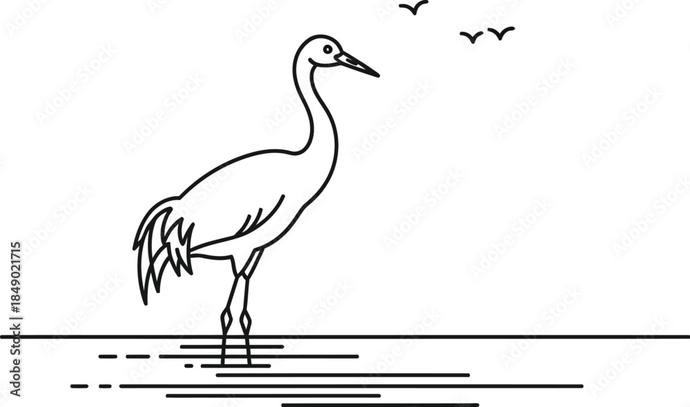 Fototapeta premium Elegant crane standing in shallow water with birds flying in the background