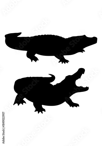 Crocodile vector, crocodile silhouette illustration, collection vector of crocodile, crocodile isolated on white 