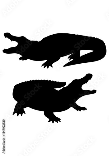 Crocodile vector, crocodile silhouette illustration, collection vector of crocodile, crocodile isolated on white 