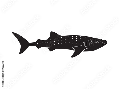 shark silhouette vector, silhouette of a shark vector illustration